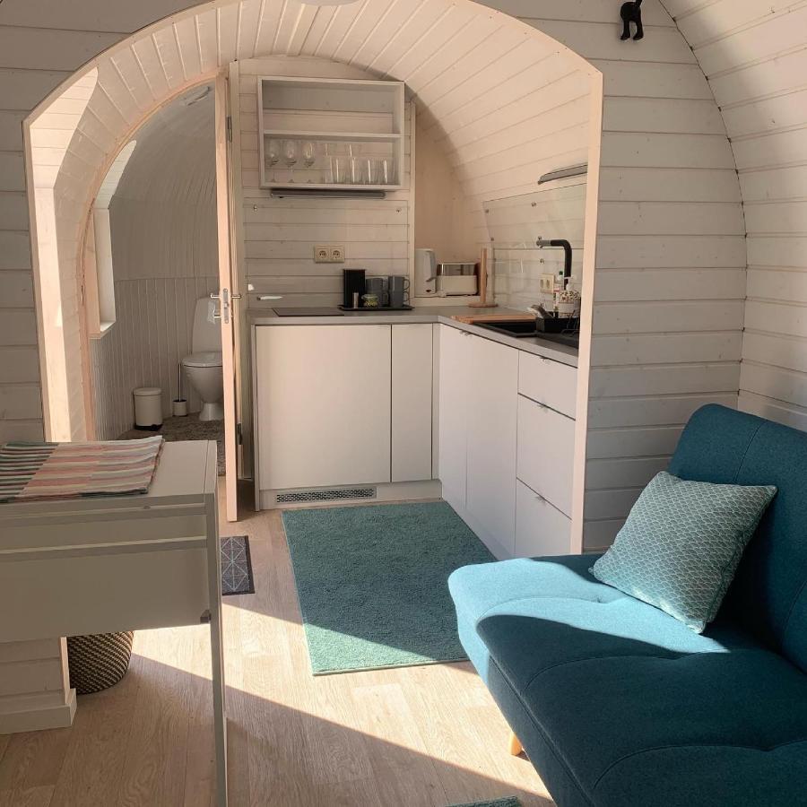 Kuldallika Igloo House And Iglusauna Kullamae Kültér fotó